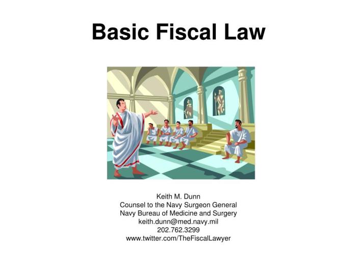 Fsd 101 basic fiscal law