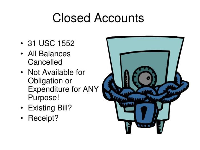 Accounts fiscal law basic ppt powerpoint presentation usc available