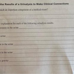 Simulating urinalysis lab activity answers